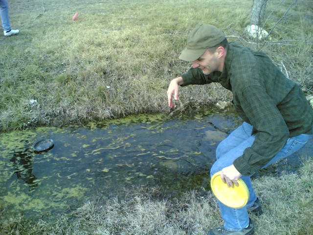 disc in water