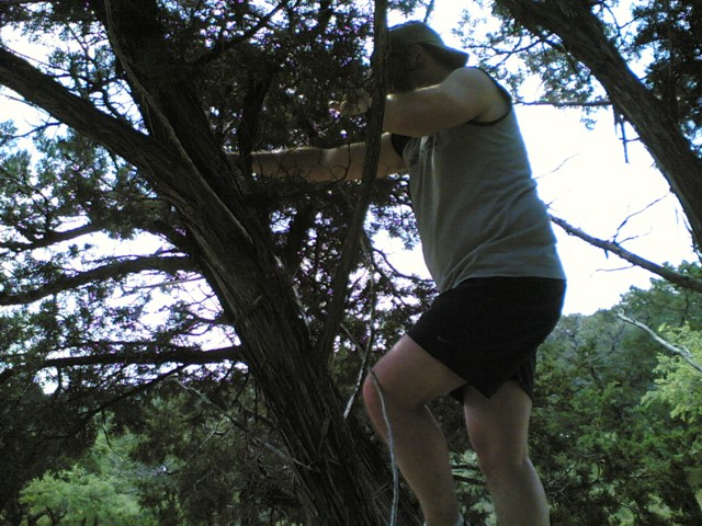 Jon in tree