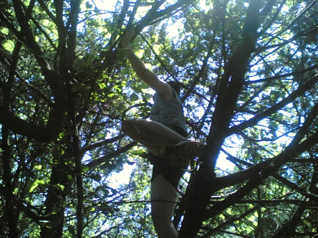 Jon in tree again