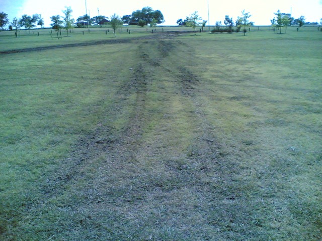 Muddy tracks