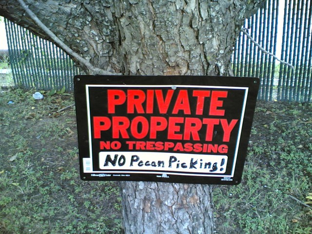 no pecan picking