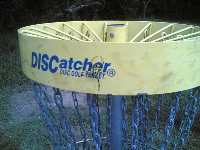 spider disc catcher