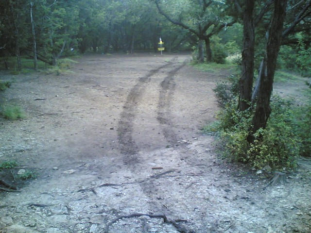 Muddy tracks