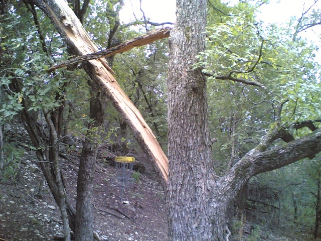 Split Tree