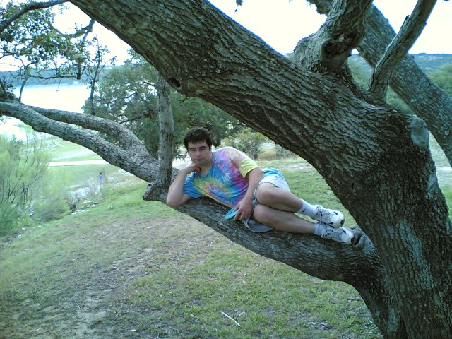 adam on tree