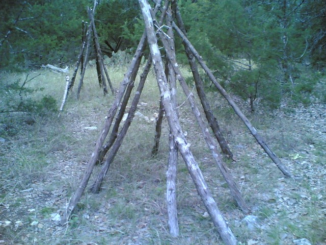 tee pees