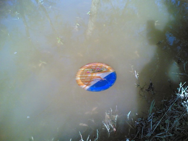 disc in water