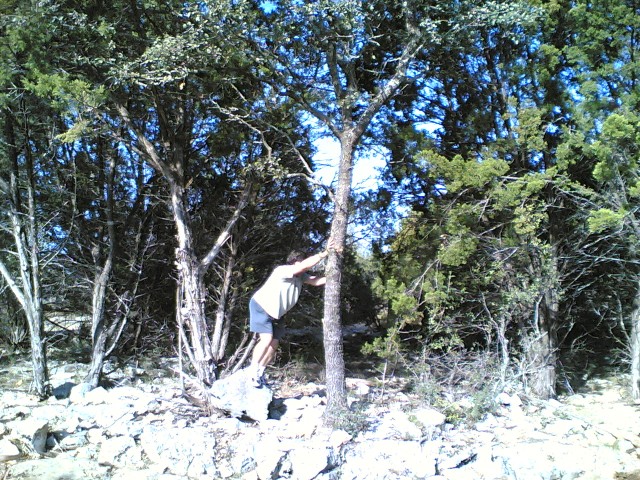 Adam against a tree