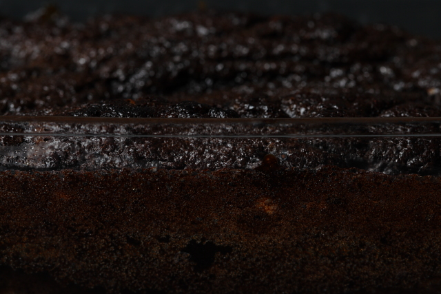 Chocolate self-saucing pudding