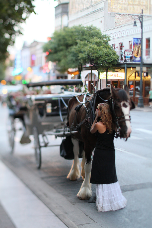 horse and buggy