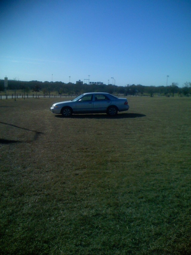 car in field