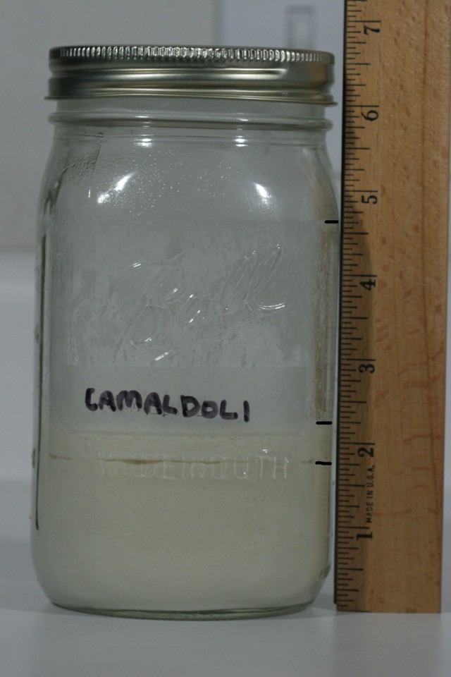 Camaldoli