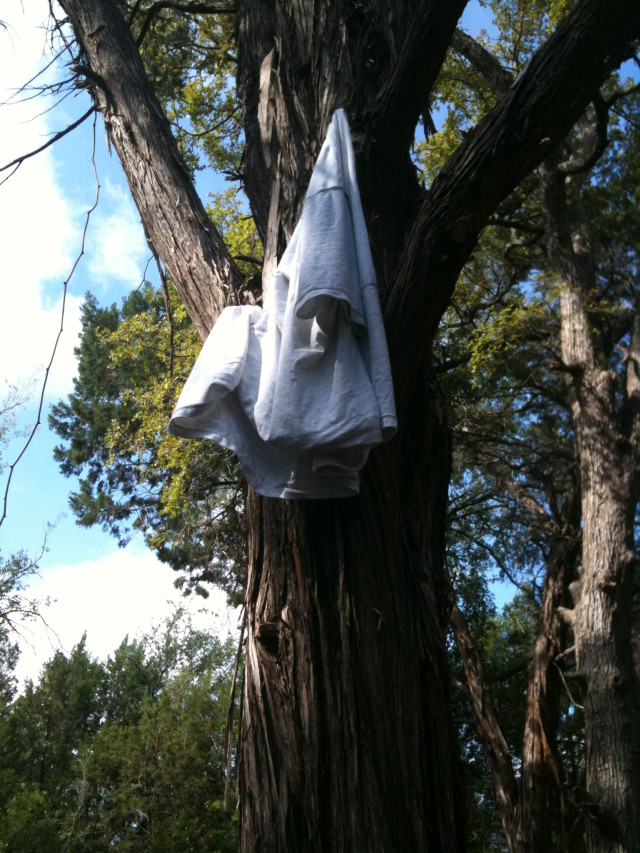 shirt hung on a tree