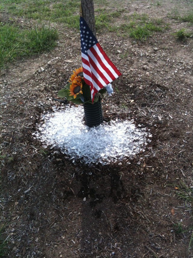 Watering a tree with ice