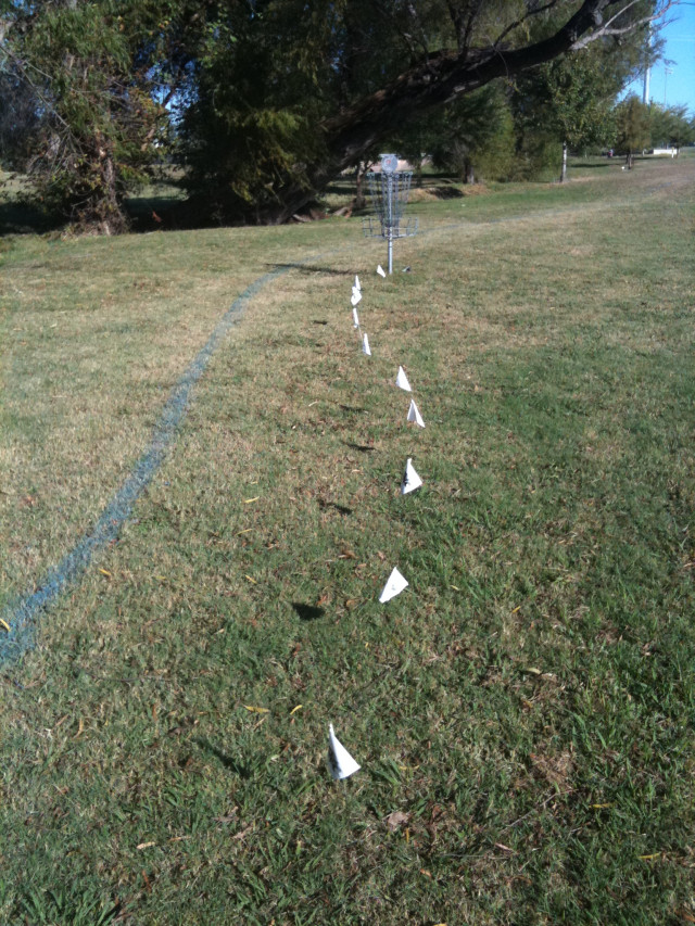 Line of flags