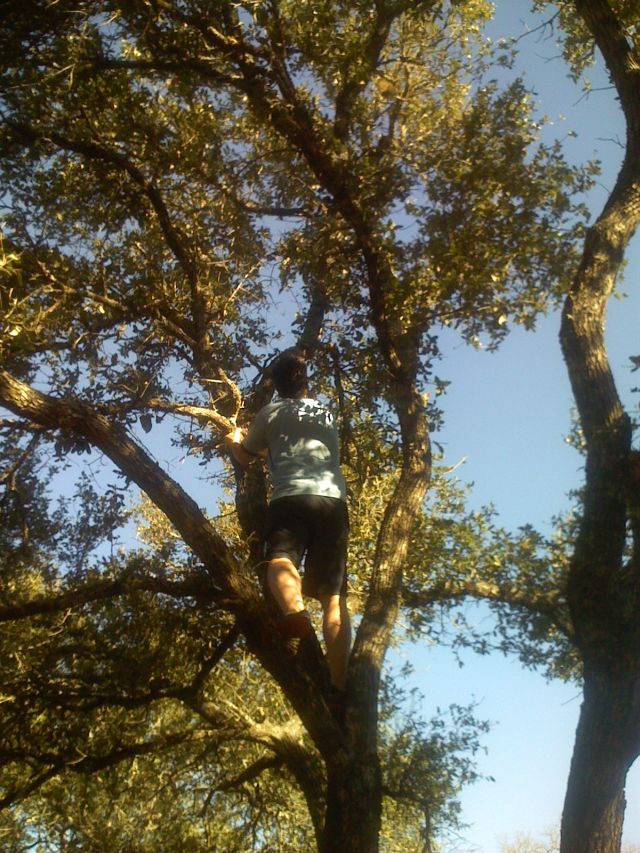 Jon high in the tree
