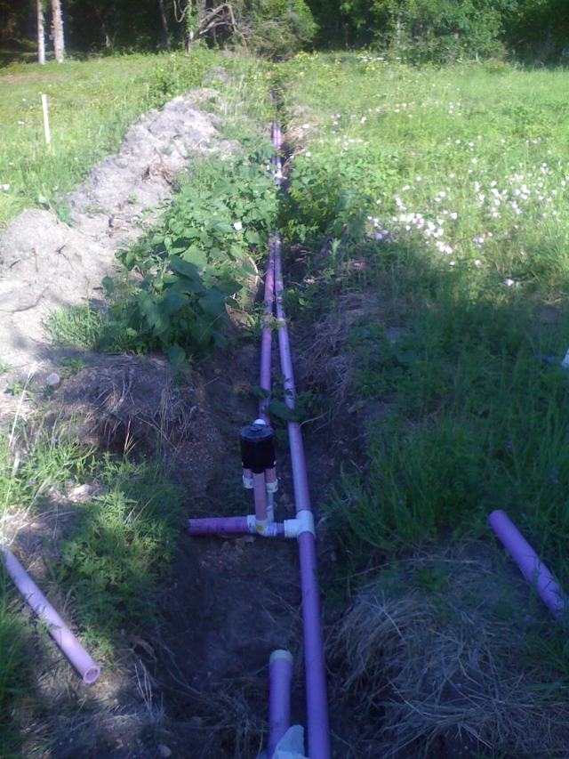 irrigation